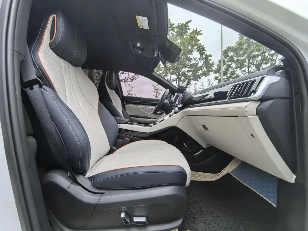 BYD SONGJIANG NEW ENERGY