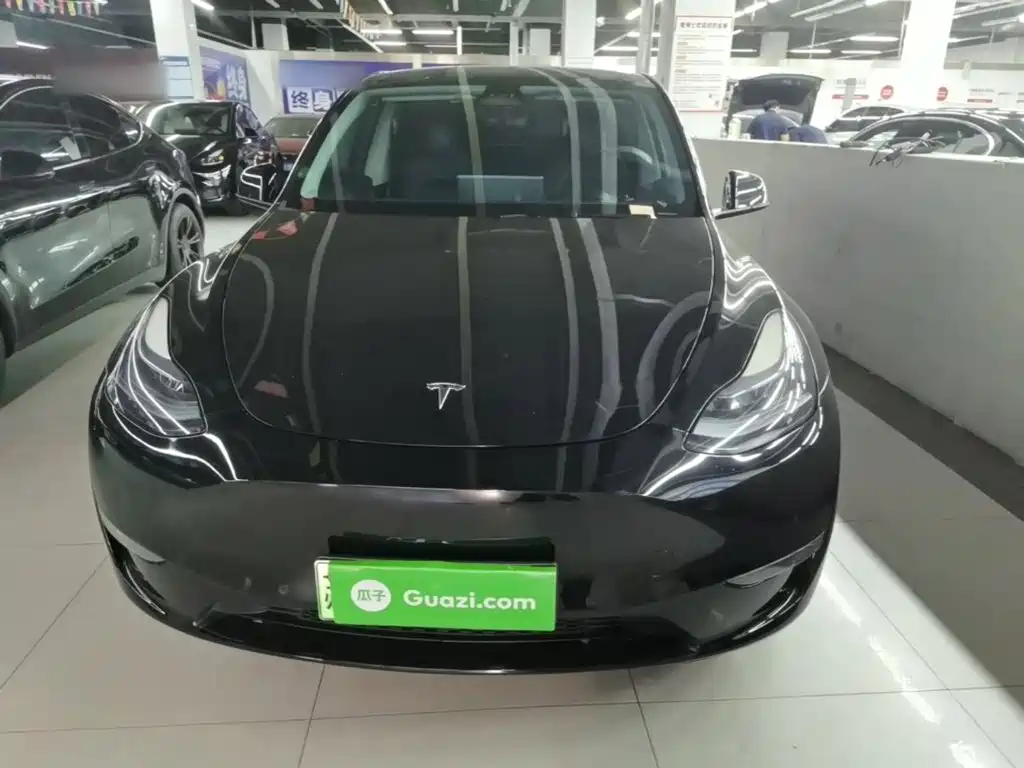 Tesla Model Y — миниатюра 3