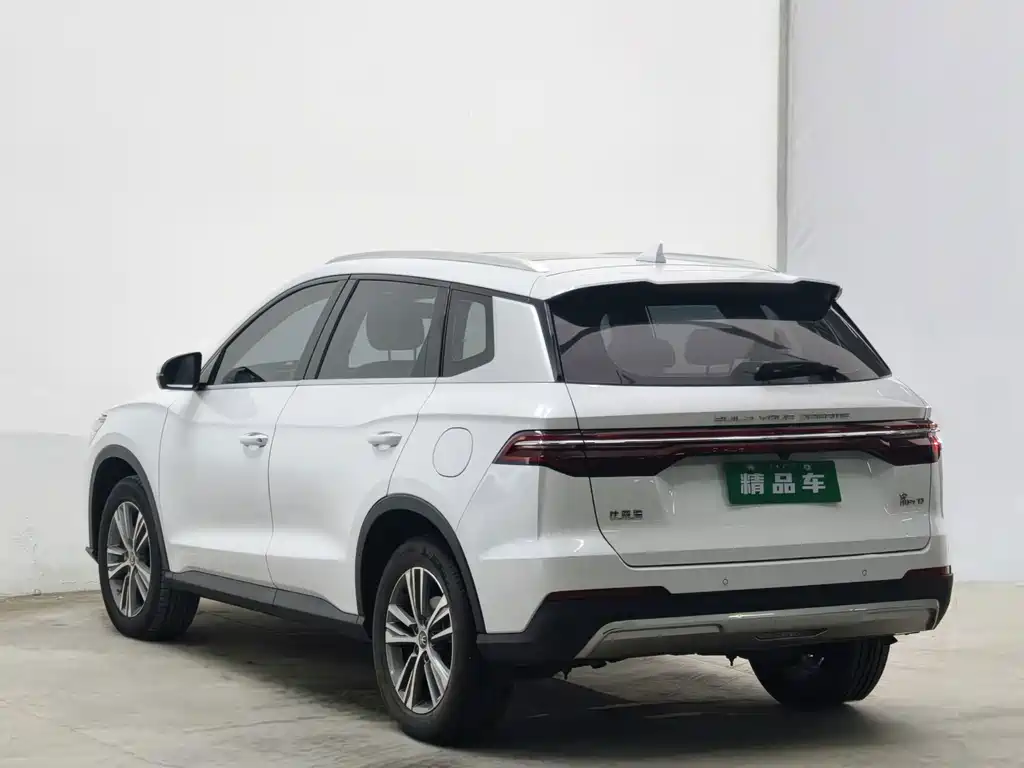 BYD Pro — миниатюра 6