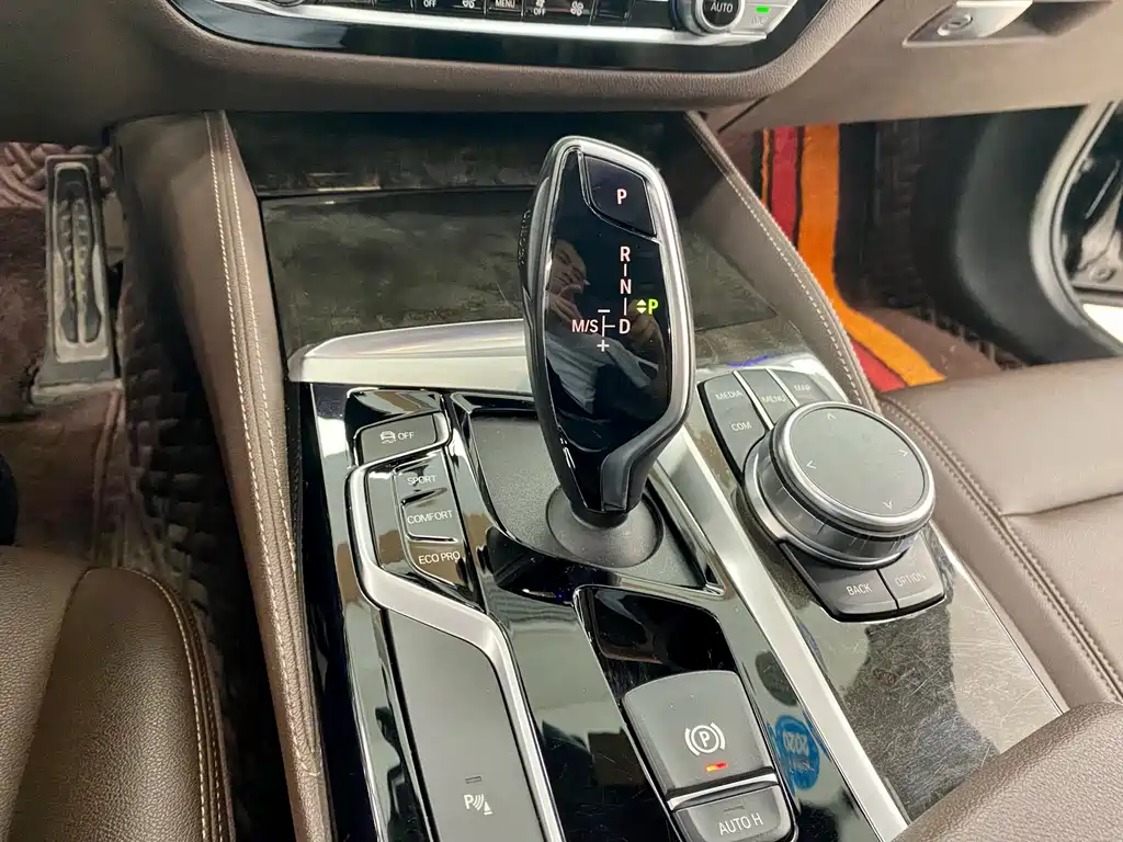 BMW 5 Series 5 2019 525Li M Sport