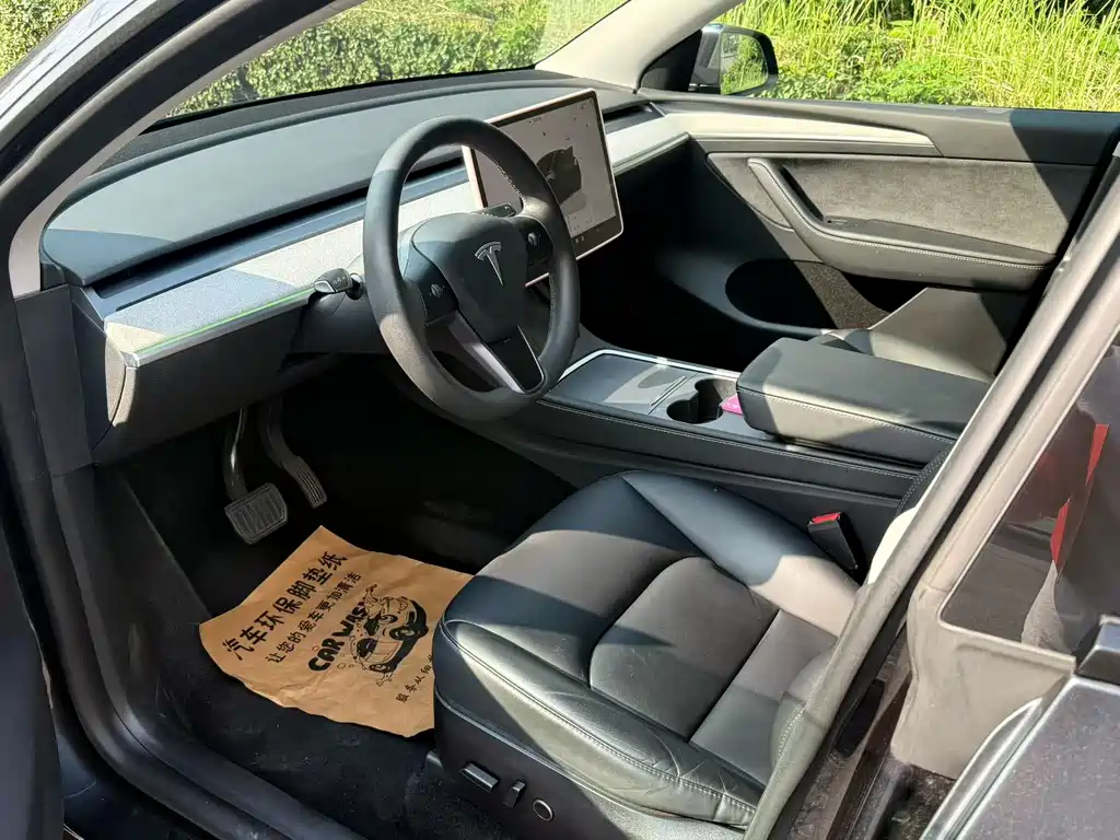 Tesla Model Y — миниатюра 5