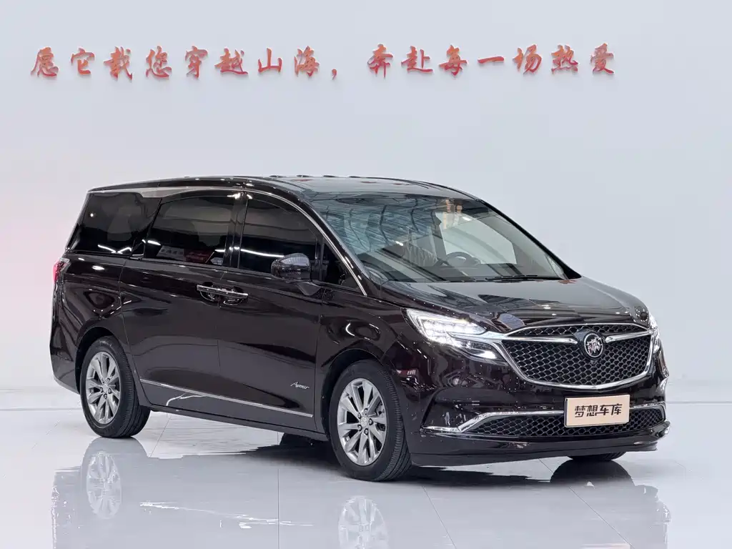 Buick GL8 — миниатюра 3