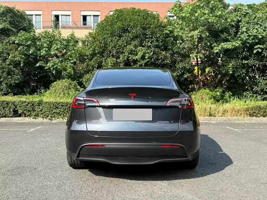 Tesla Model Y — миниатюра 8