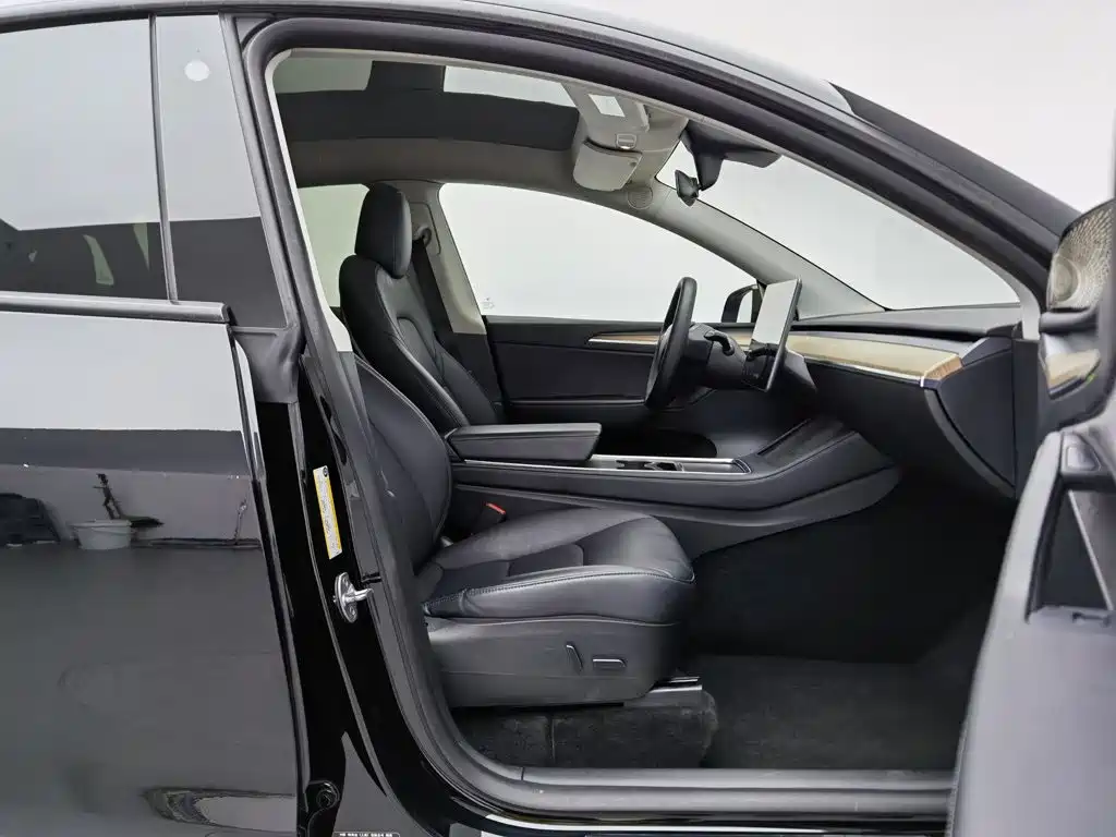 Tesla Model Y — миниатюра 23
