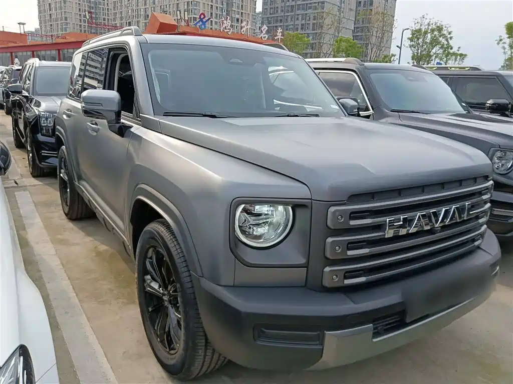 HAVAL  RAPTORS NEW ENERGY
