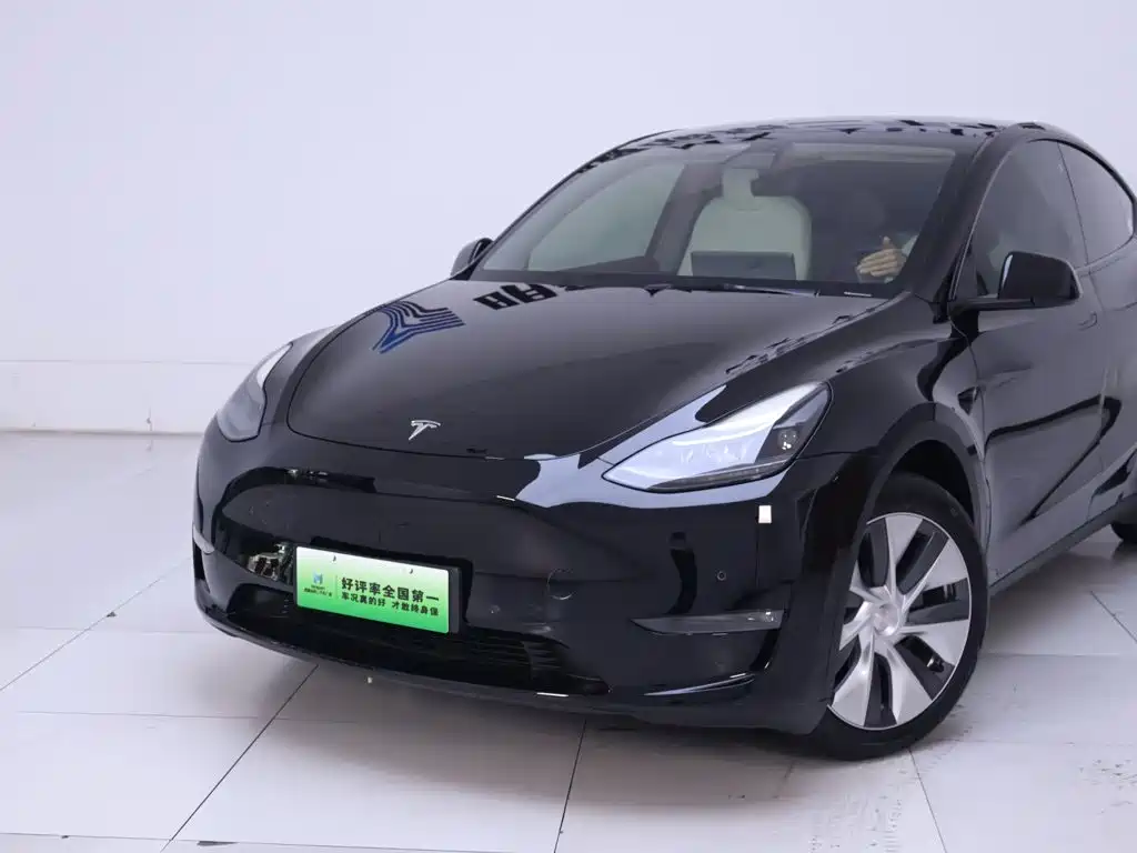 Tesla Model Y — миниатюра 3