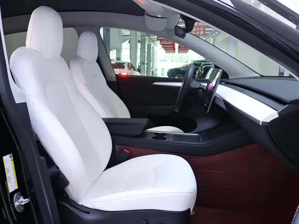 Tesla Model Y — миниатюра 21