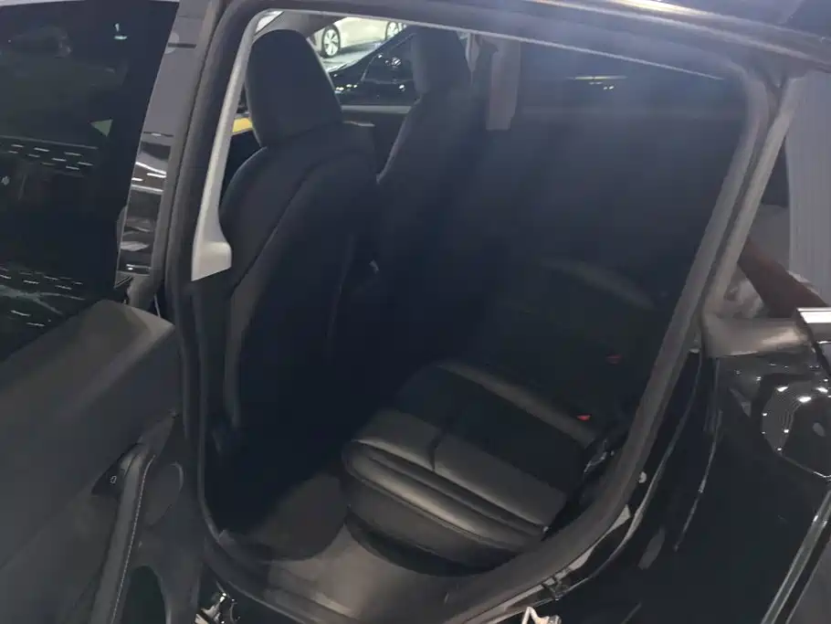 Tesla Model Y — миниатюра 11