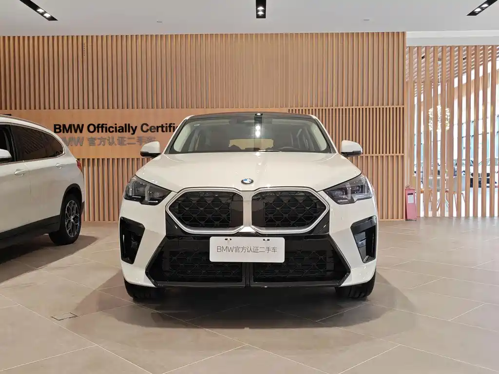 BMW X2 (Import) — миниатюра 2