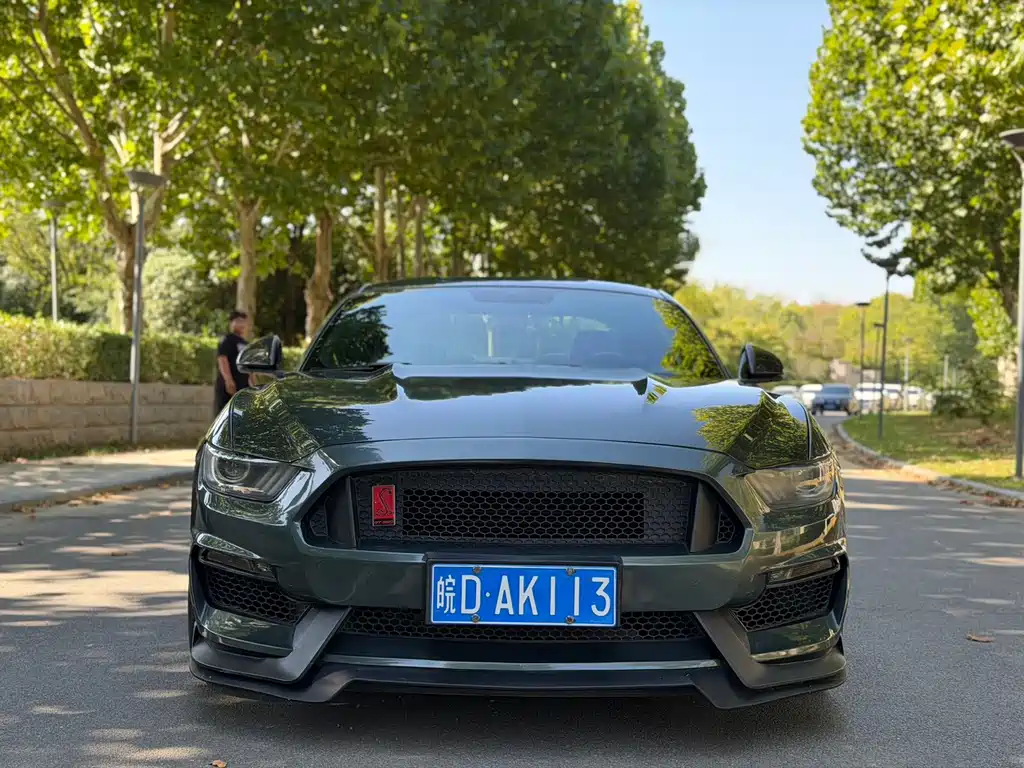 Ford Mustang — миниатюра 2