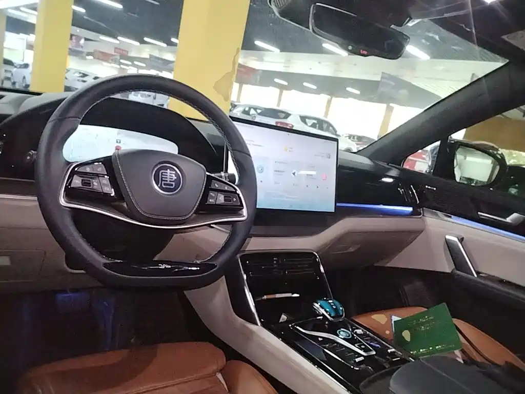 BYD Tang New Energy — миниатюра 11