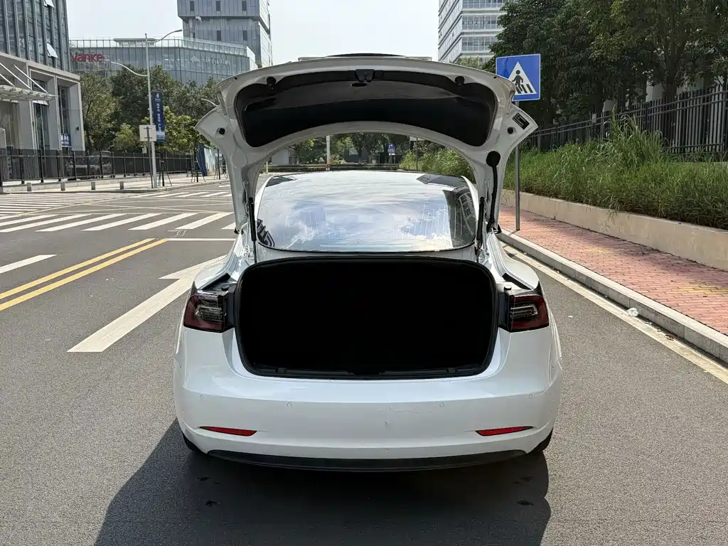 Tesla Model 3 — миниатюра 16