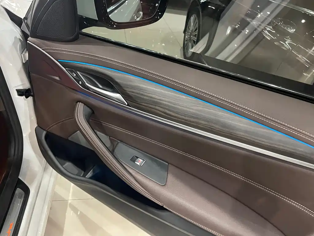 BMW 5 SERIES NEW ENERGY