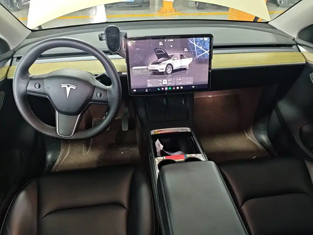 Tesla Model Y — миниатюра 10