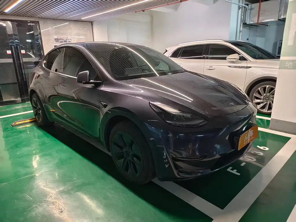 Tesla Model Y — миниатюра 3