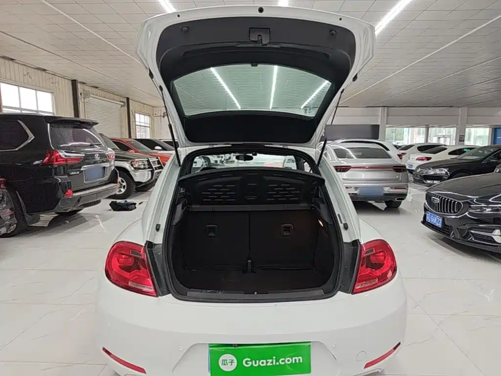 Volkswagen Beetle — миниатюра 19