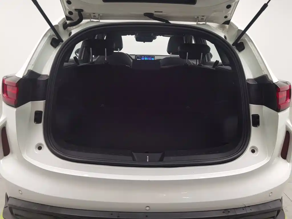 Haval Chitu — миниатюра 16