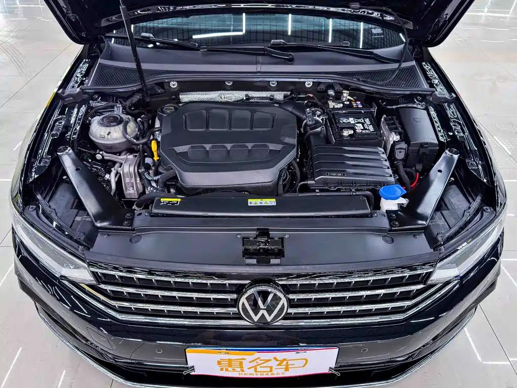 Volkswagen Magotan — миниатюра 4