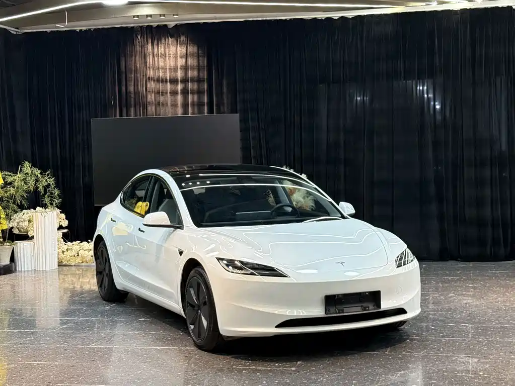 Tesla Model 3 — миниатюра 3