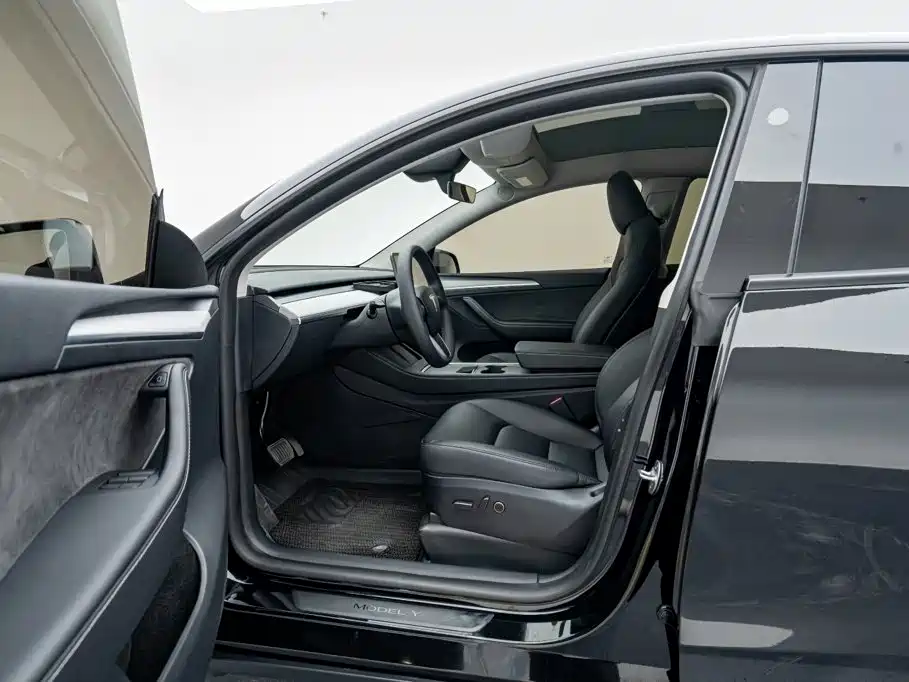 Tesla Model Y — миниатюра 17