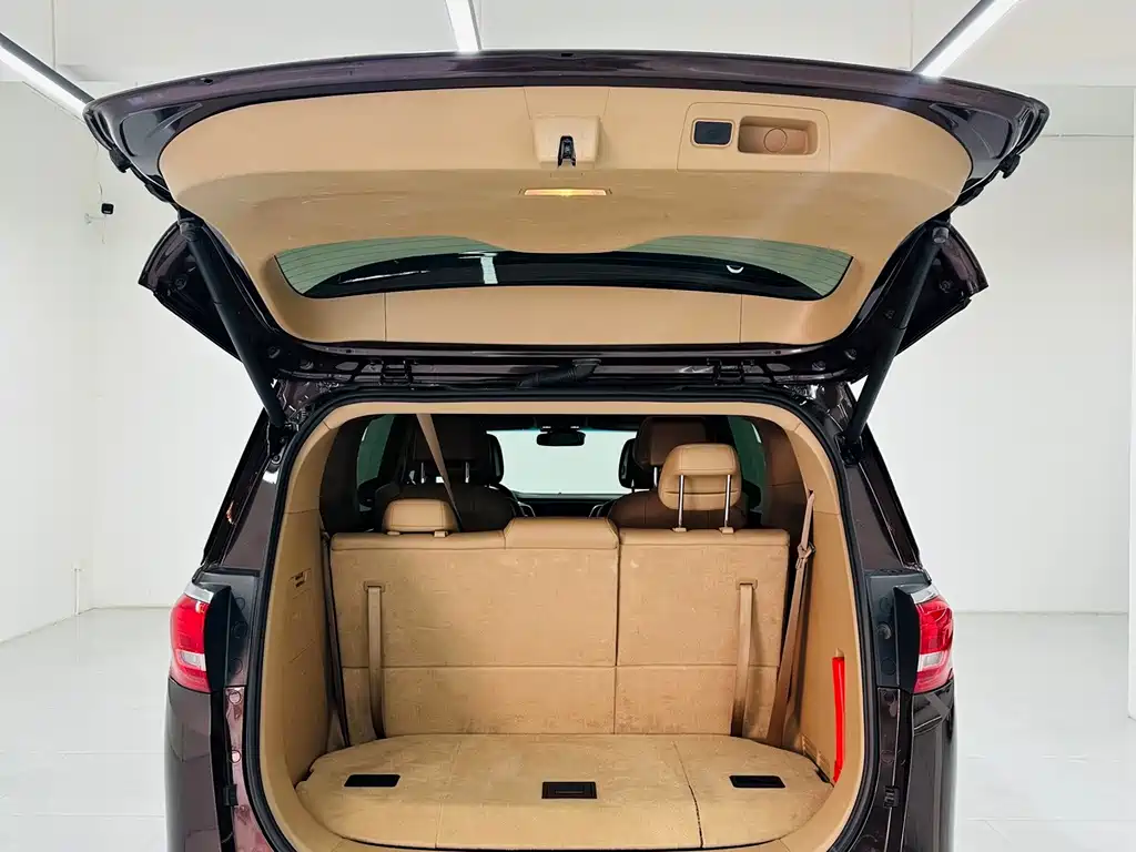 Buick GL8 — миниатюра 23
