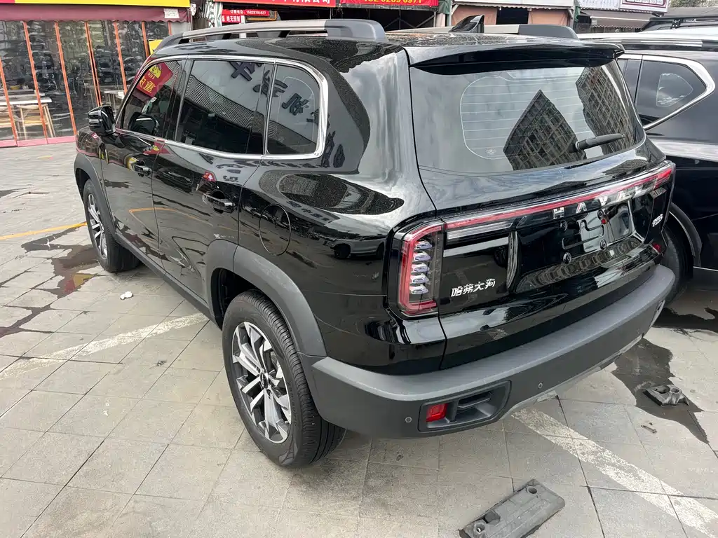 HAVAL BIG DOG