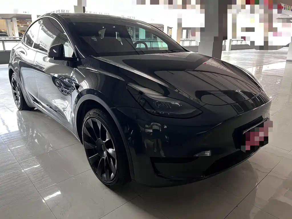 Tesla Model Y — миниатюра 3