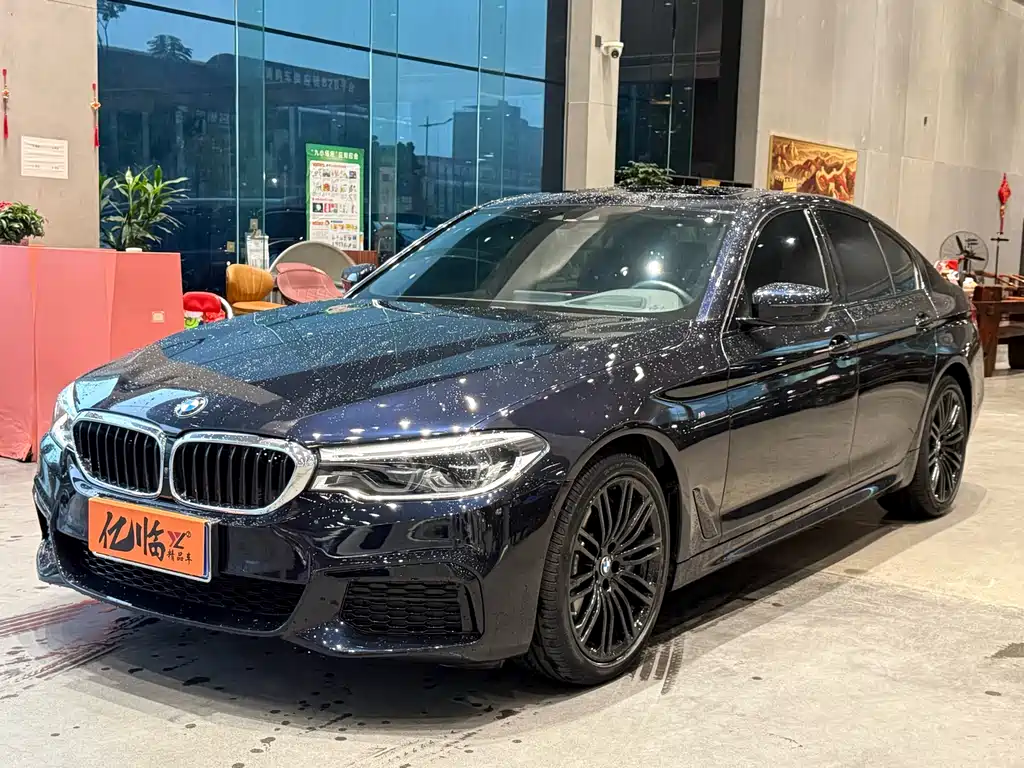 BMW 5 SERIES