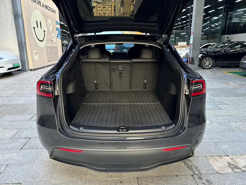 Tesla Model Y — миниатюра 12