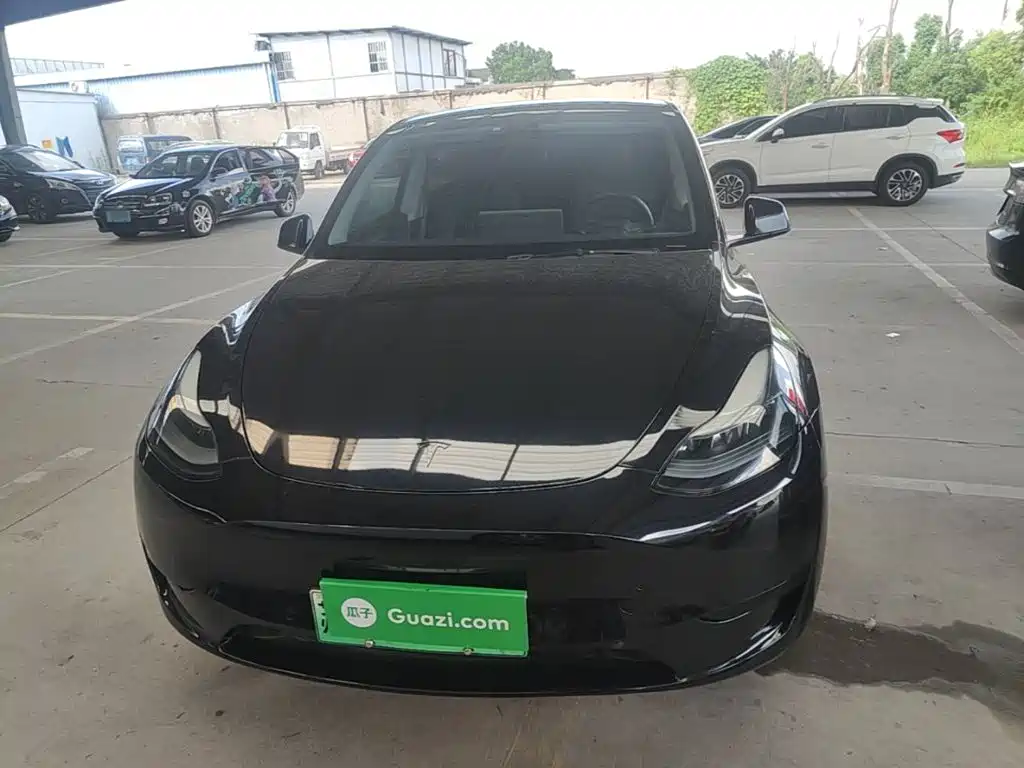 Tesla Model Y — миниатюра 3