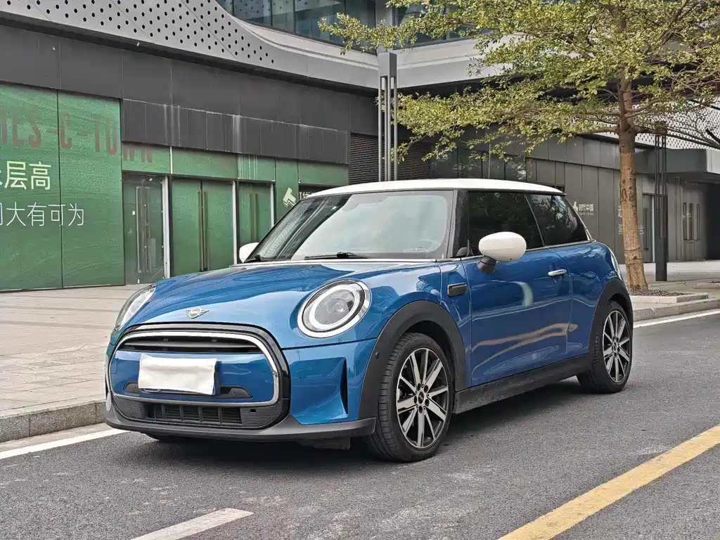 Mini Mini 2021