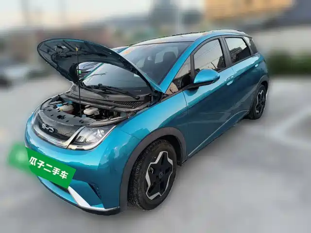 2022 BYD Dolphin
