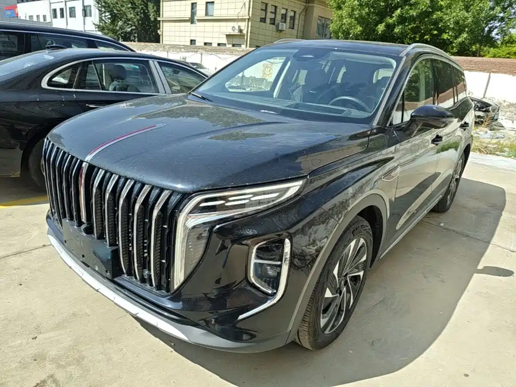 Hongqi Hongqi HS7 PHEV — миниатюра 2