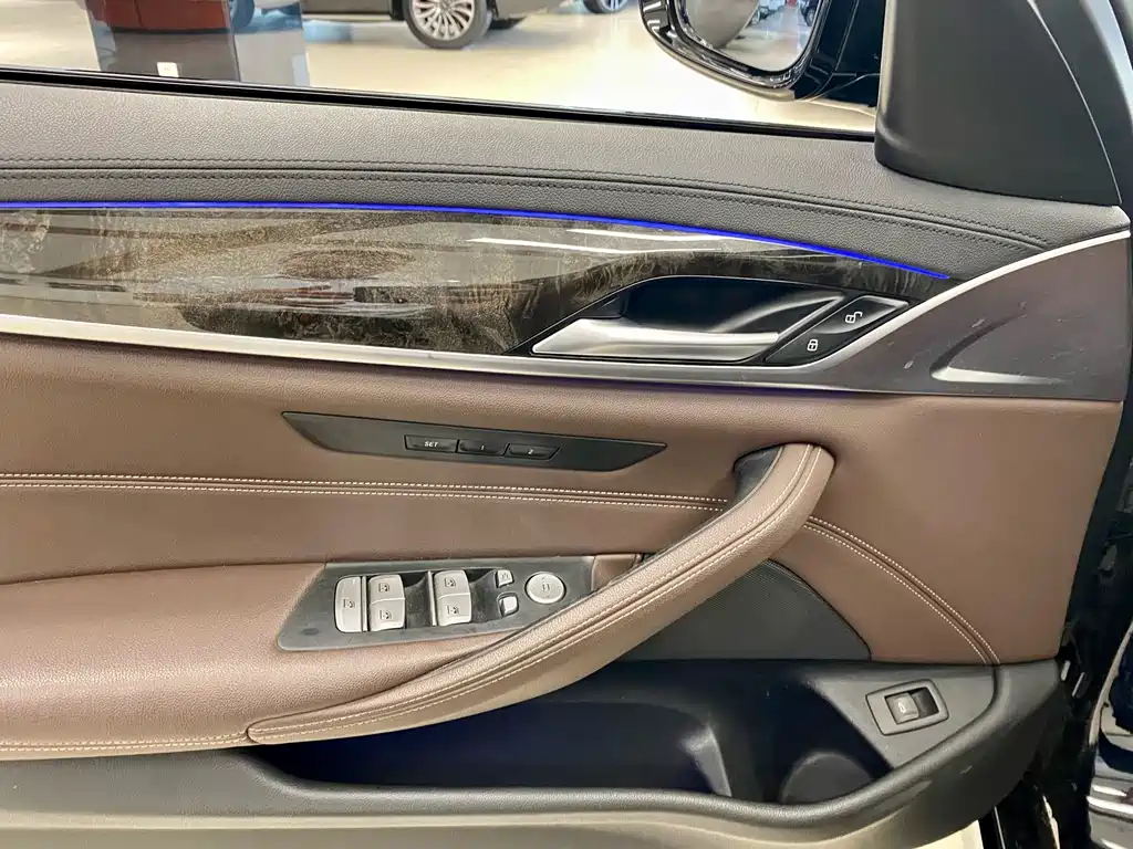 BMW 5 Series 5 2019 525Li M Sport