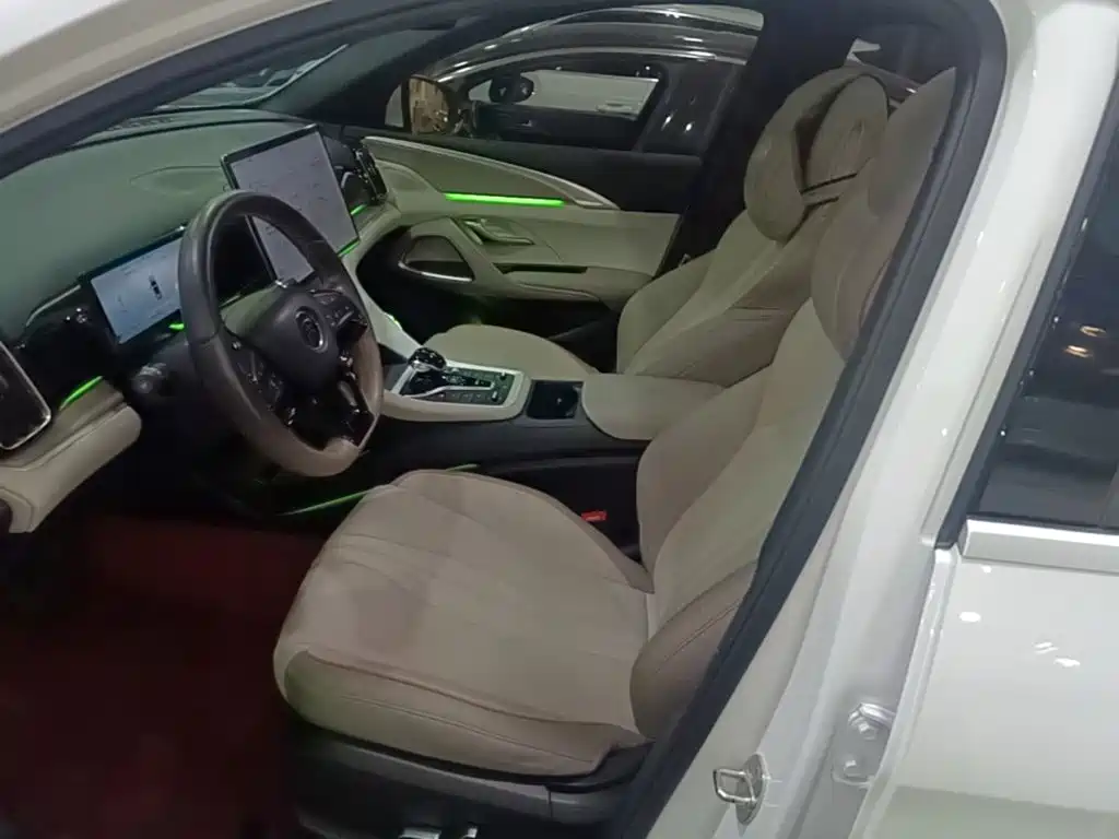 BYD Pro New Energy — миниатюра 15
