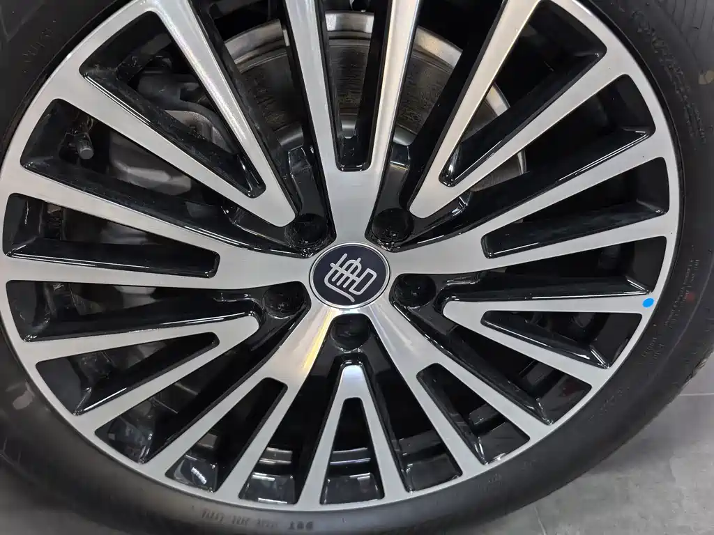 BYD Datang — миниатюра 3