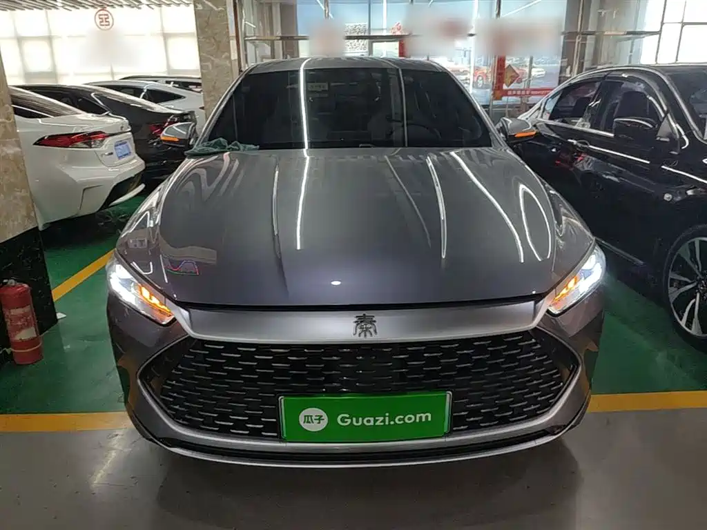 BYD Qin Plus PLUS 2024 DM-i 55KM Lead