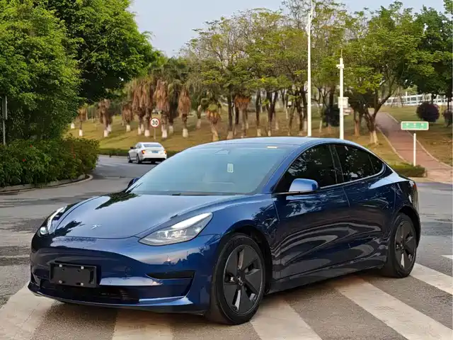 TESLA MODEL 3 2021