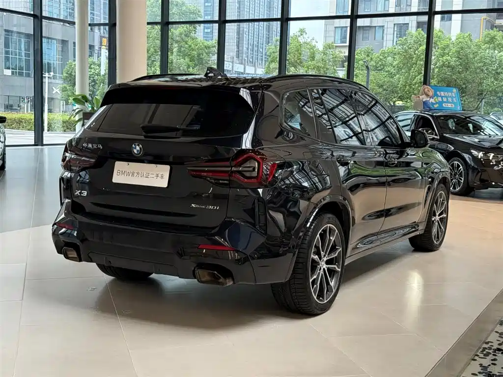 BMW X3 — миниатюра 8