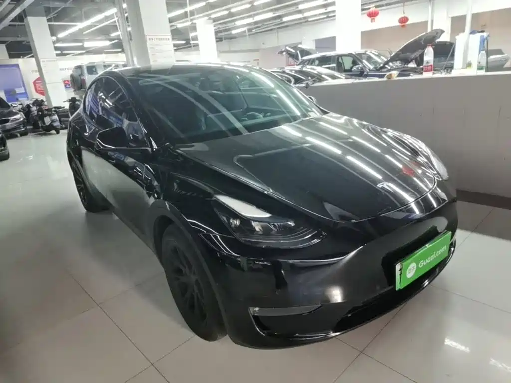 Tesla Model Y — миниатюра 4