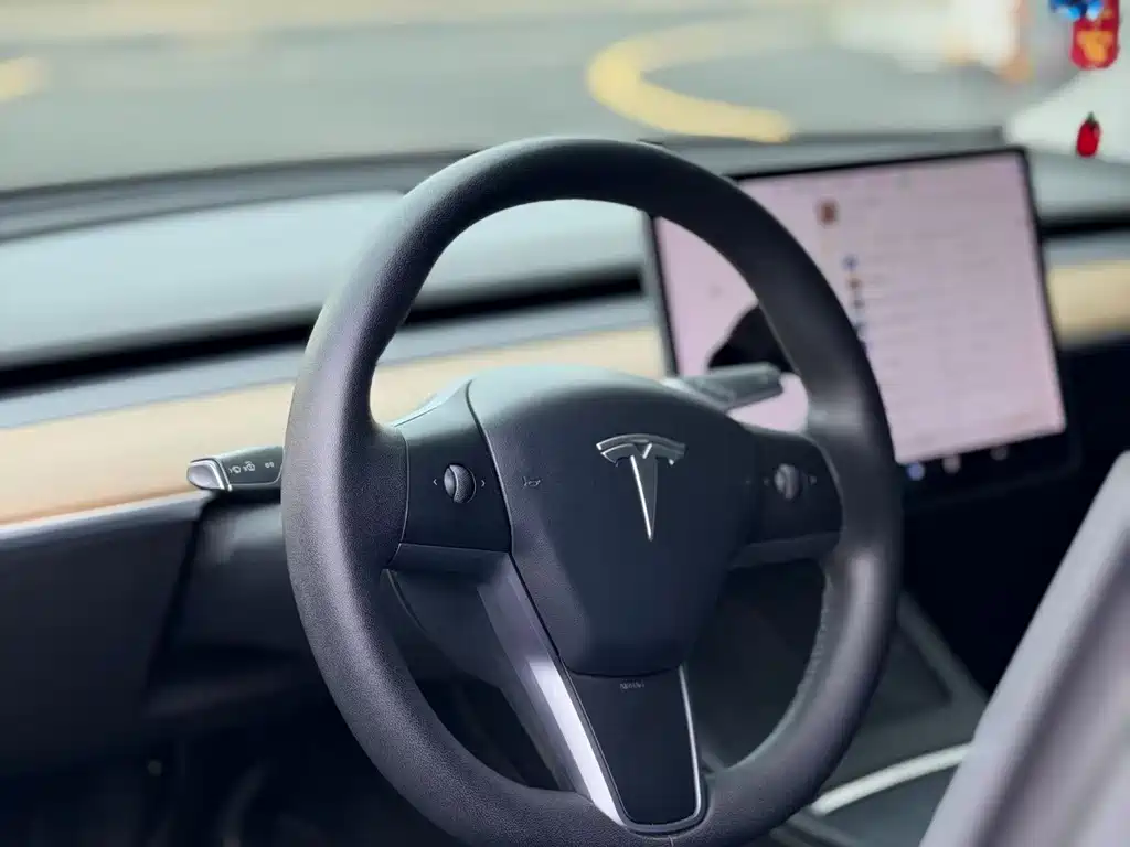 Tesla Model Y — миниатюра 7