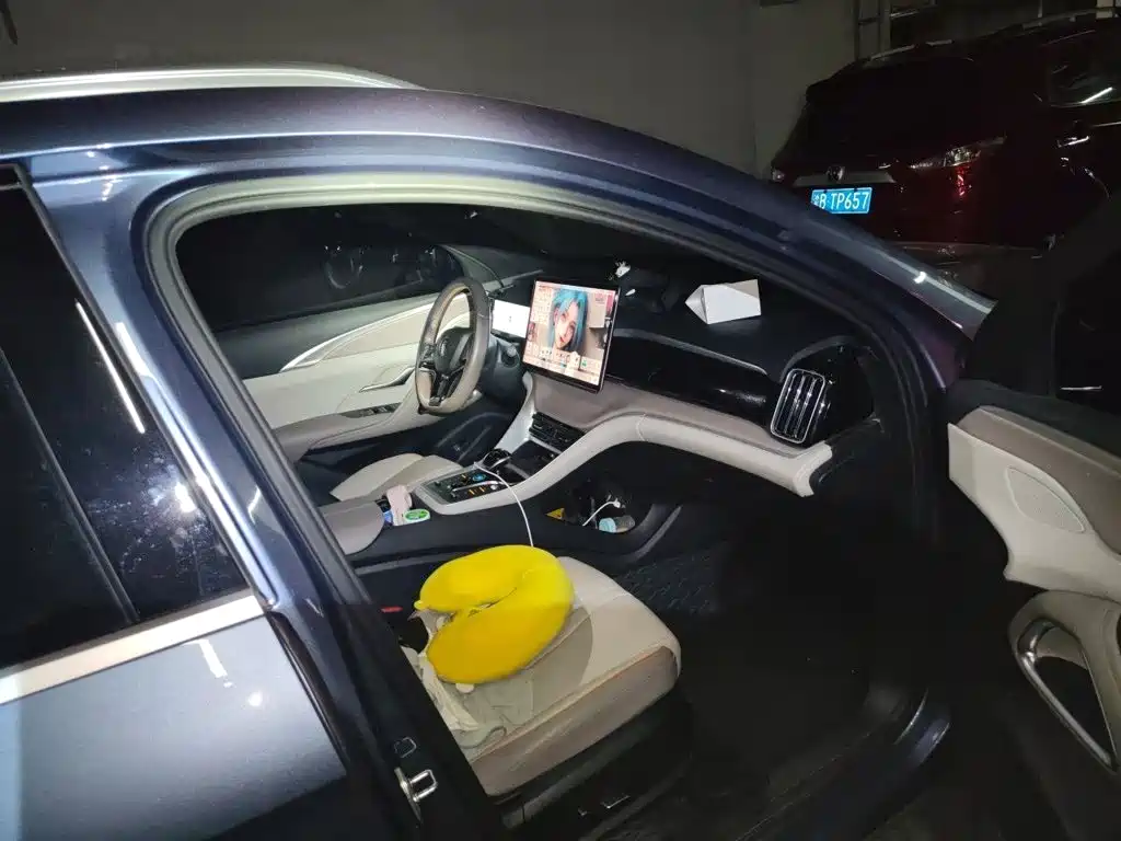 BYD Pro New Energy — миниатюра 18