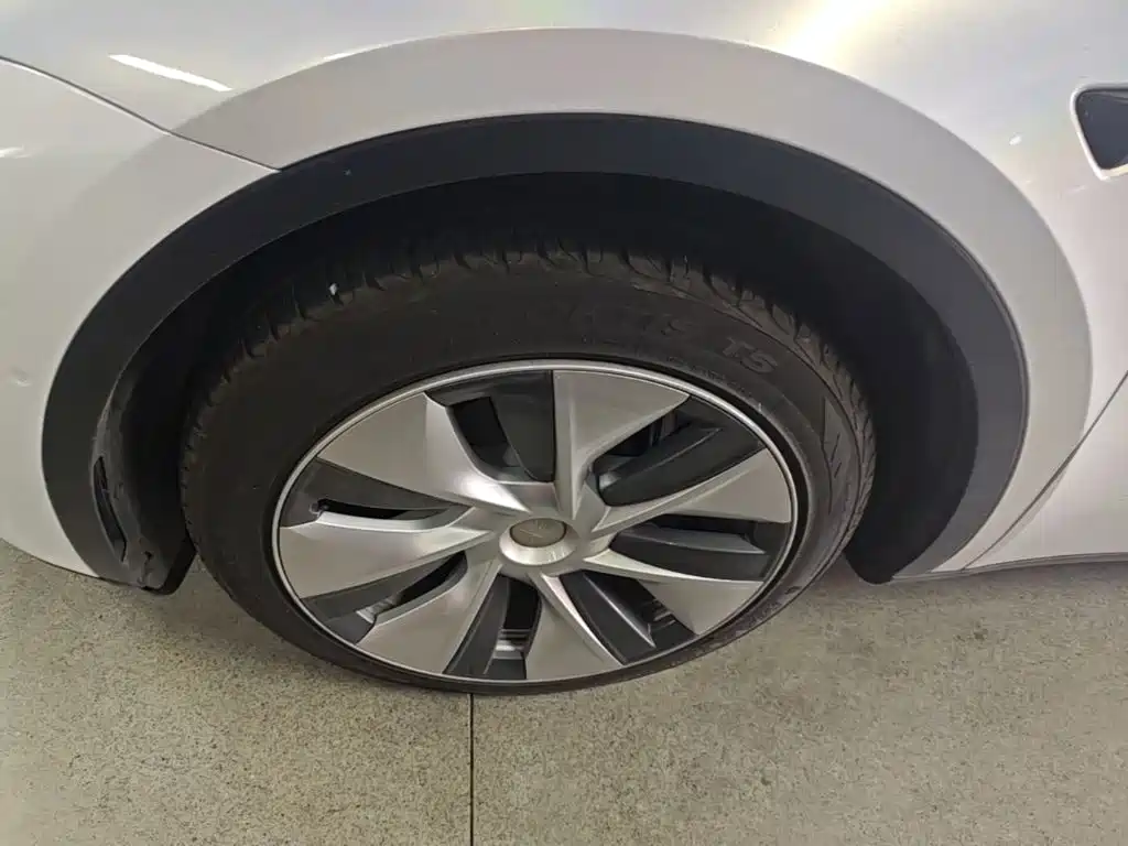 Tesla Model Y — миниатюра 23