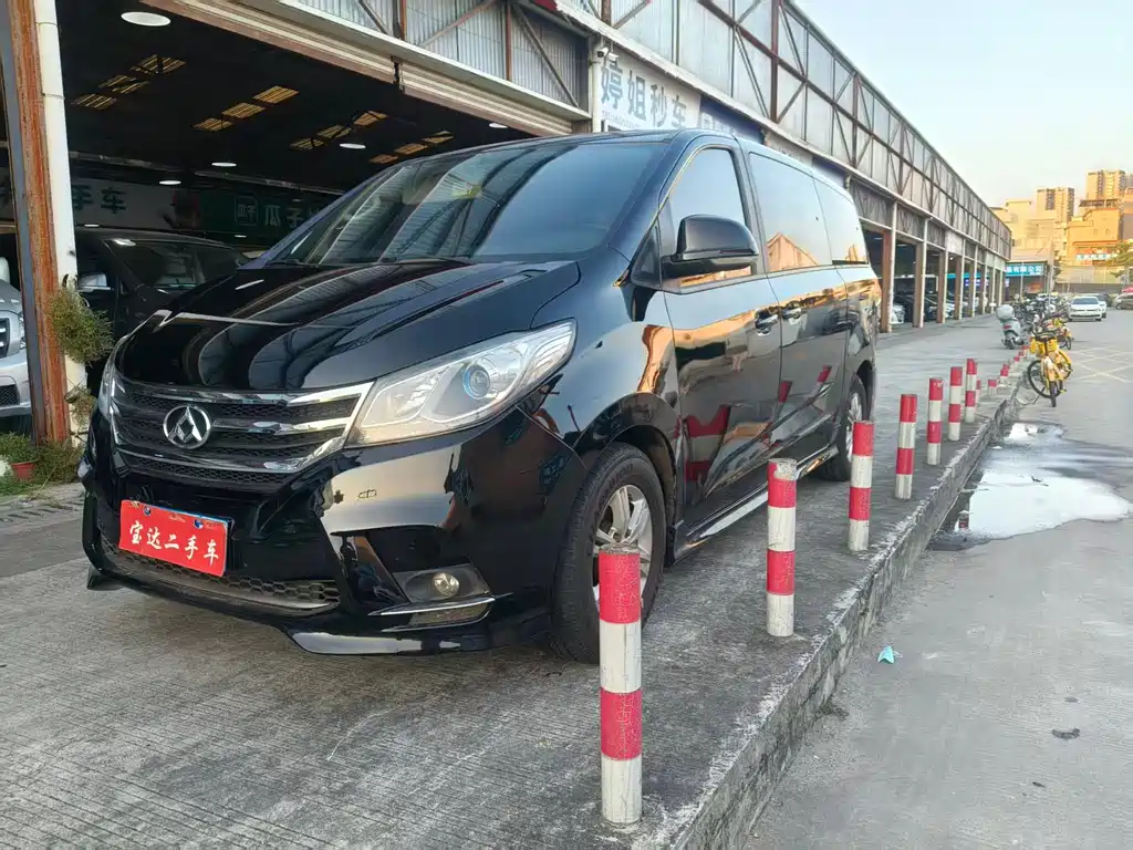 SAIC MAXUS CHASE G10