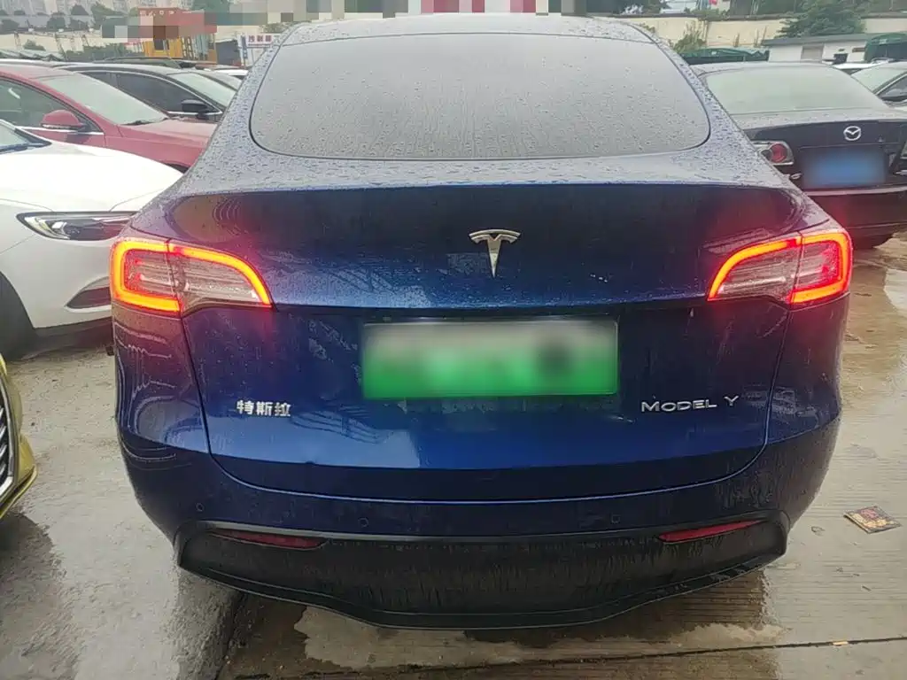 Tesla Model Y — миниатюра 6