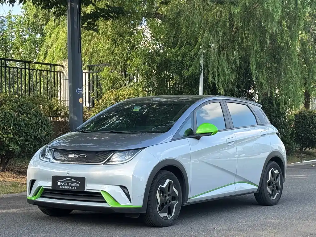 BYD Dolphin
