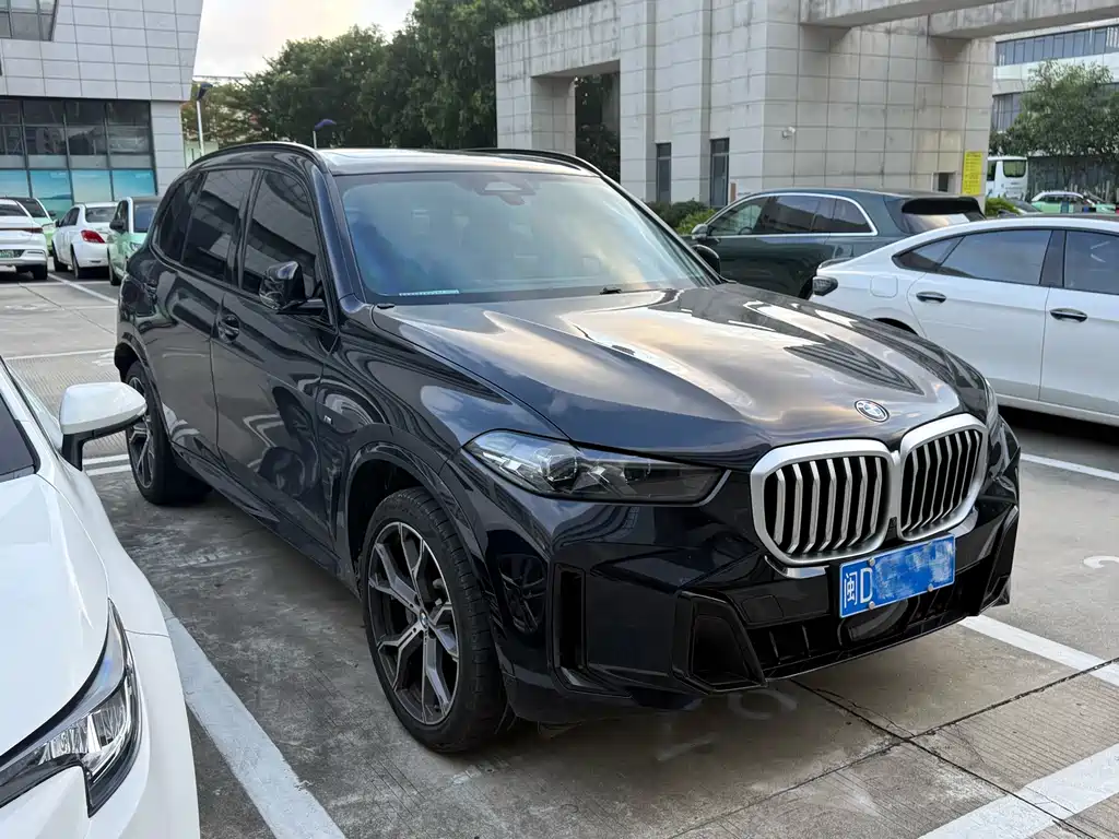 BMW X5 — миниатюра 3