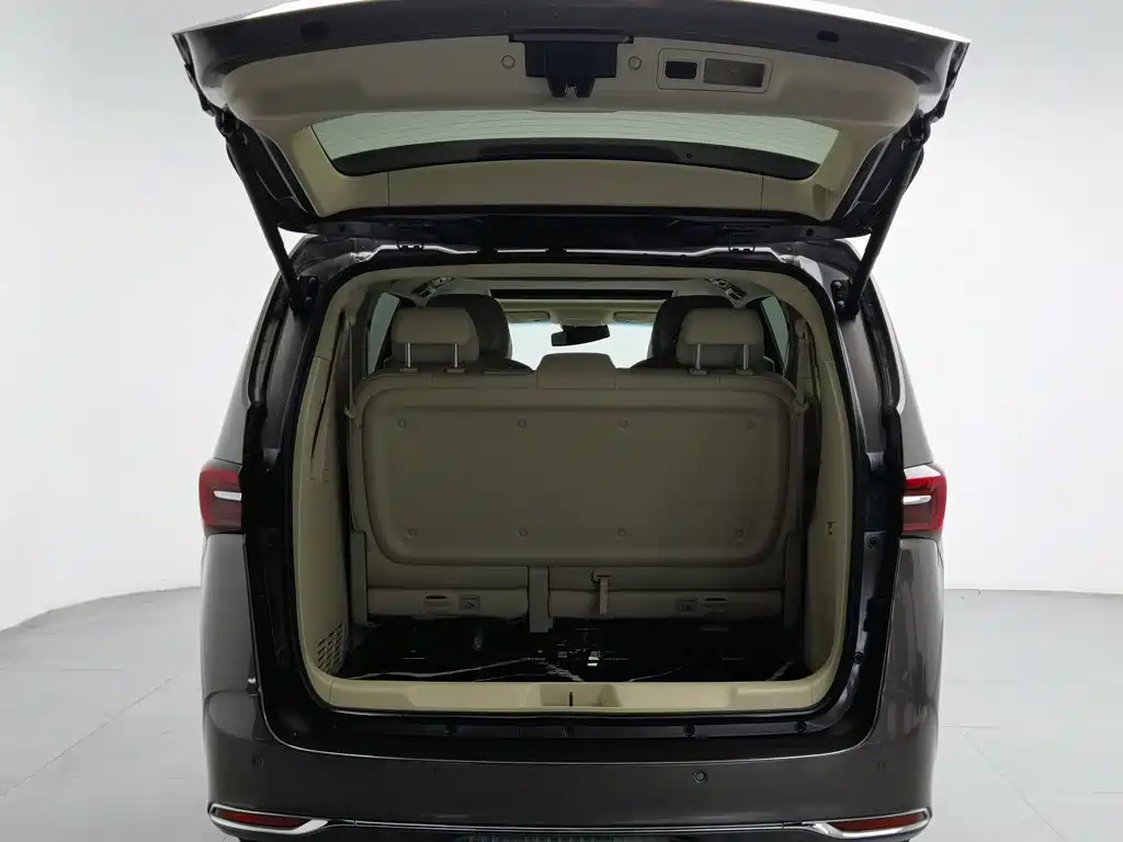 Buick GL8 — миниатюра 16