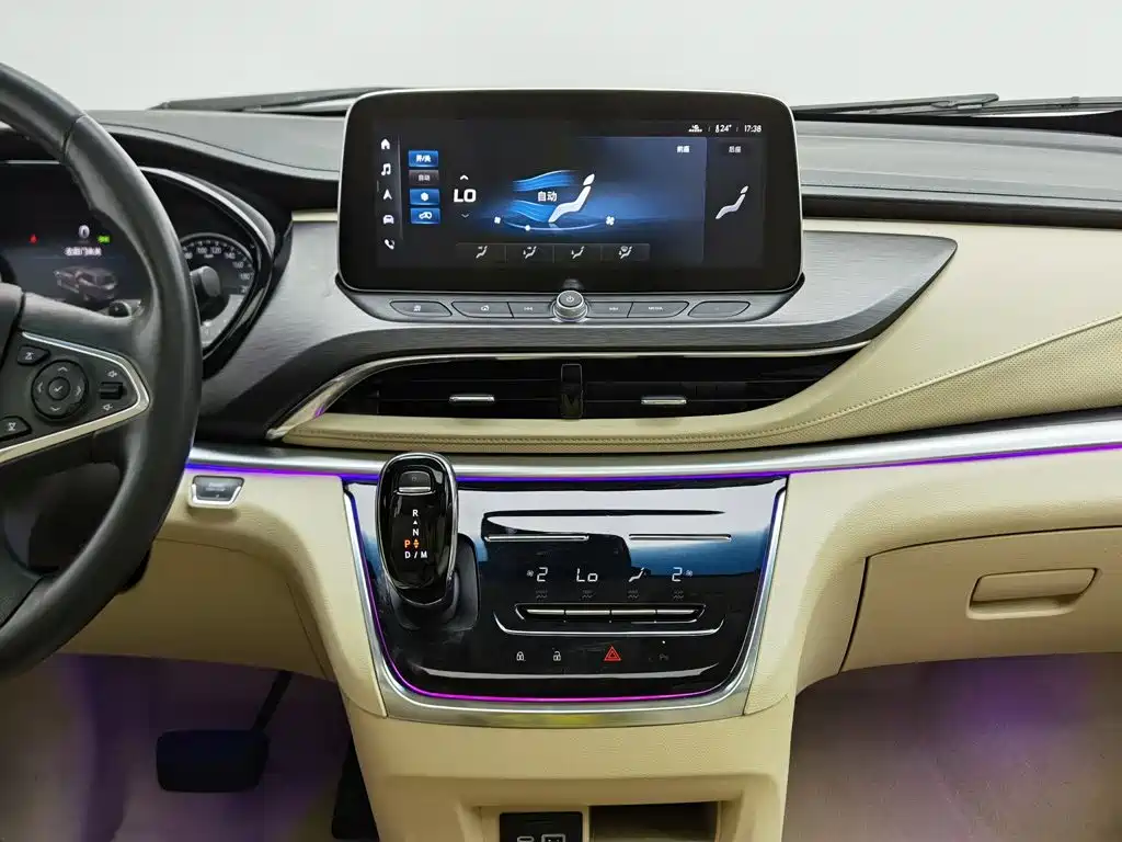 Buick GL8 — миниатюра 12