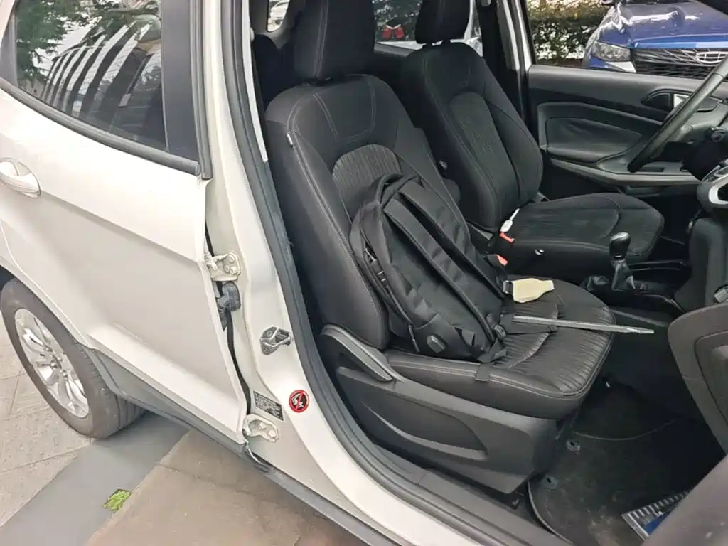 Ford Ecosport — миниатюра 25
